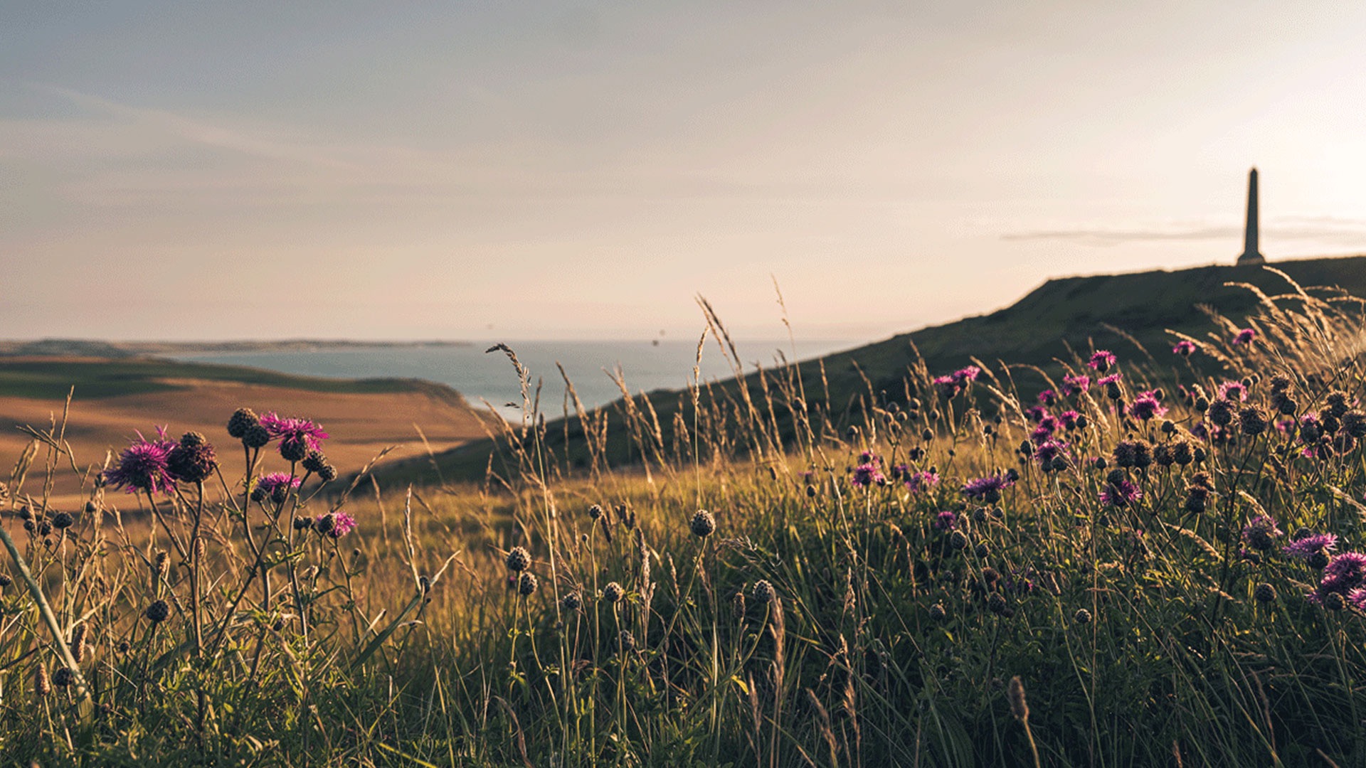 Vue panoramique du site des Deux Caps avec le Dover Patron en arrière plan