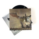 Vinyle dragon de Calais