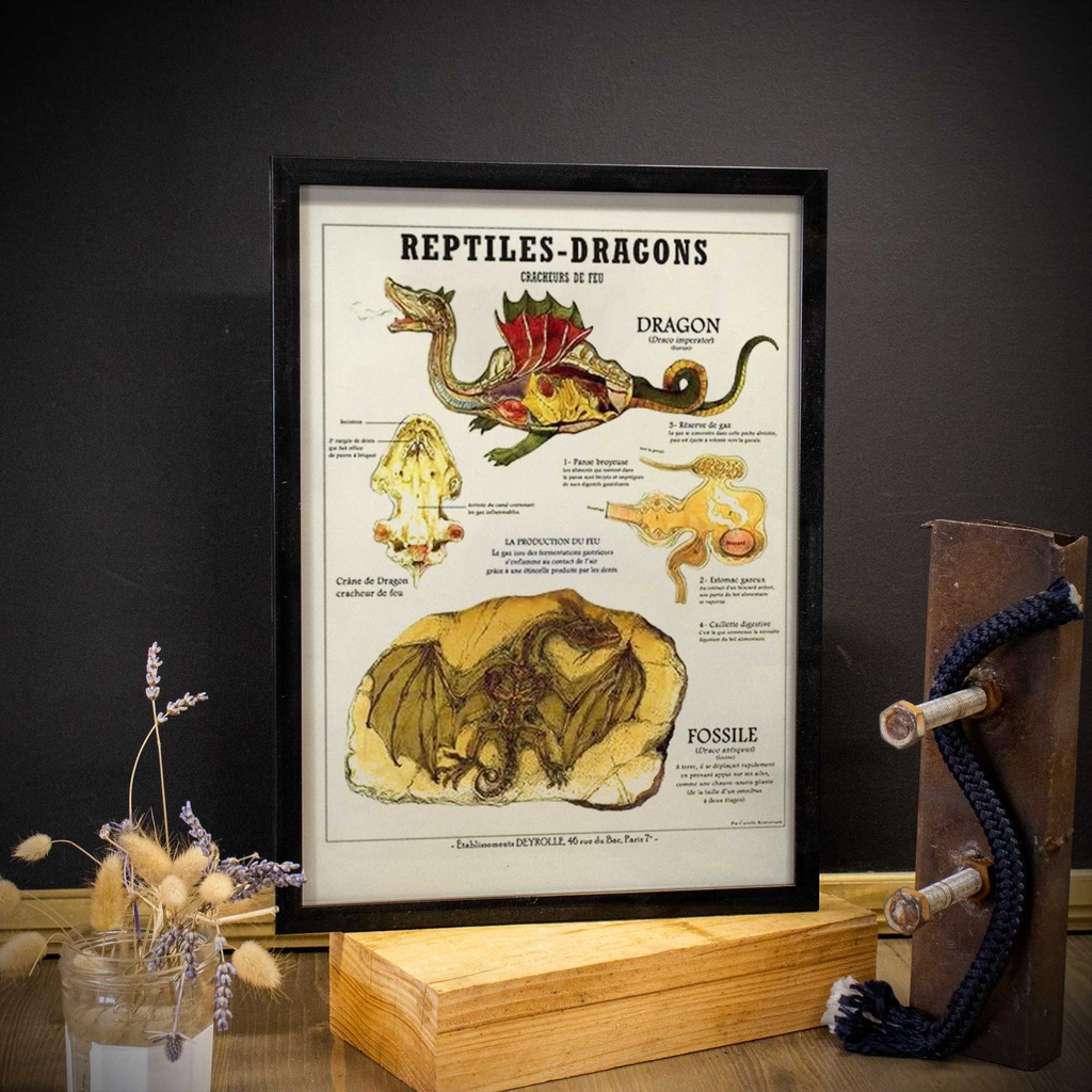 Affiche Deyrolles Reptiles et dragons cracheurs de feu
