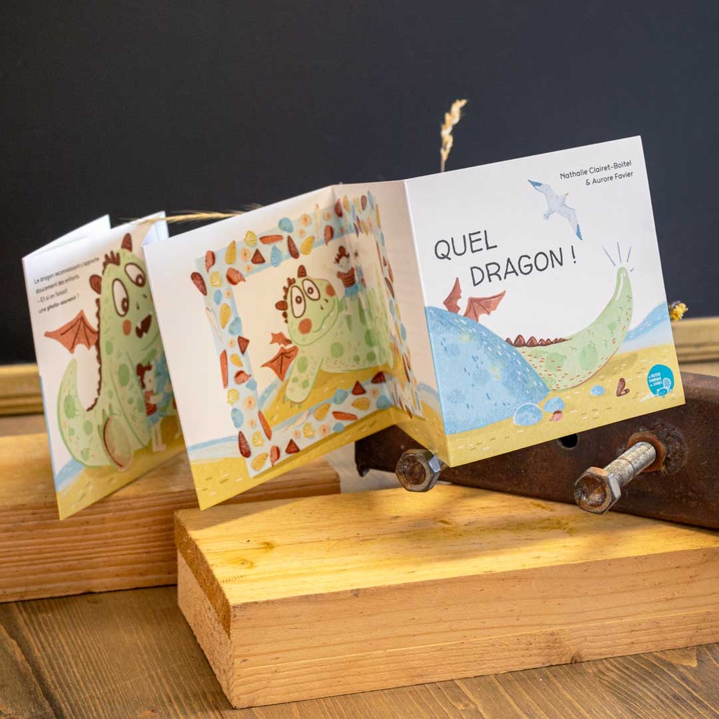 Livre jeunesse Quel Dragon !