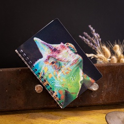 [REV-22-PAP-004] Carnet 3D caméléon